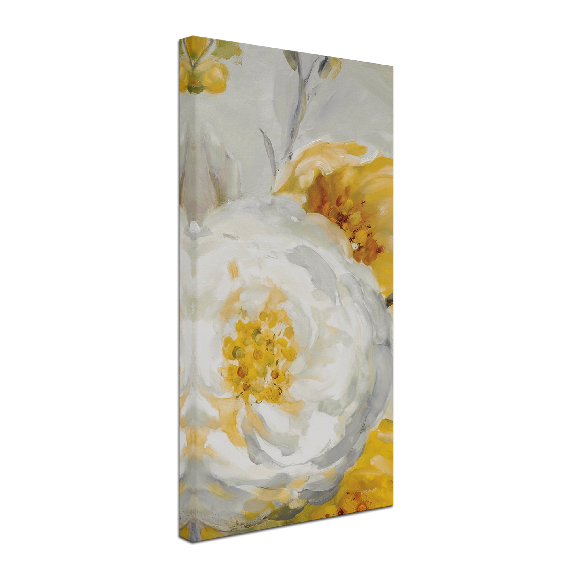 Trademark Fine Art 'Sunshine XV' Canvas Art by Lisa Audit
