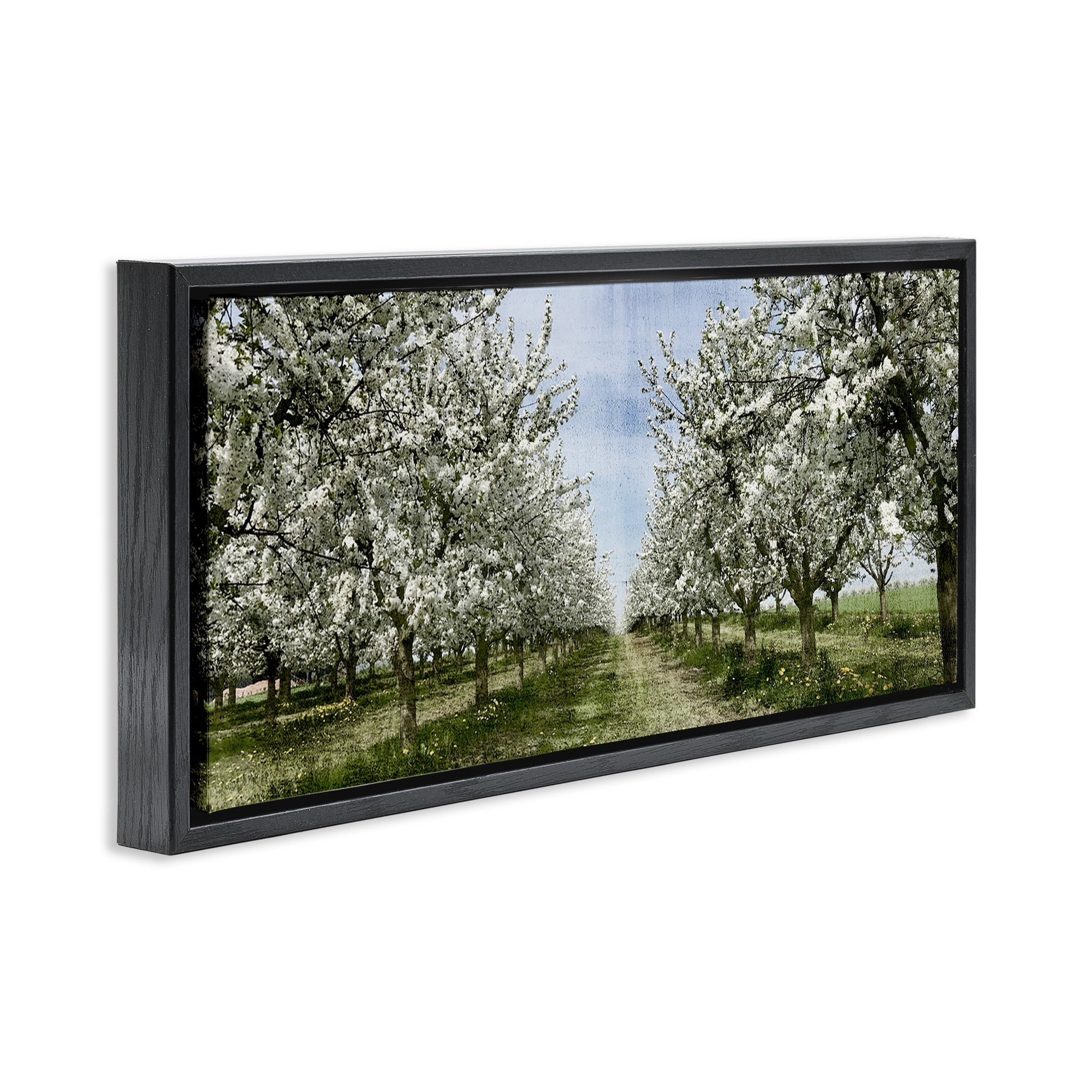 Stupell Industries Blooming White Tree Orchard Landscape Photography Black Floater Framed Canvas Art Print Wall Art, 31 x 14
