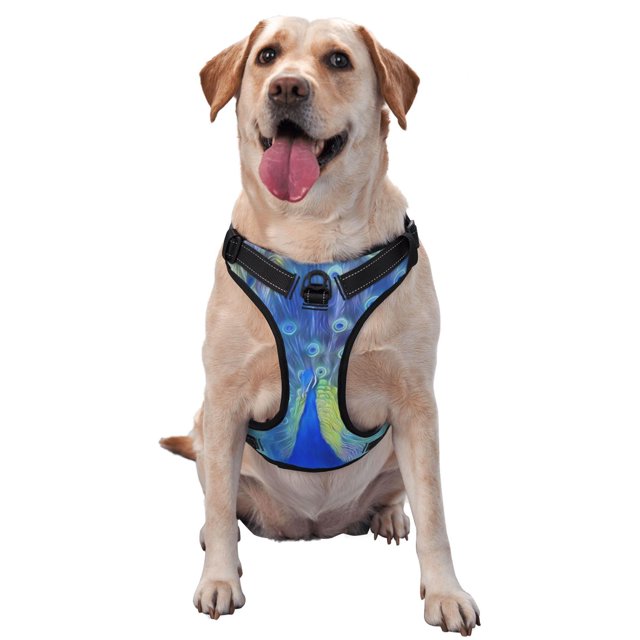 Fotbe Peacock Arnés para Perro con Estampado –Chaleco Ajustable Acolchado con Asa de Control para Perros Grandes-Small