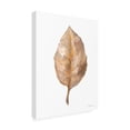 thumbnail image 2 of Danhui Nai 'Fallen Leaf II' Canvas Art, 2 of 4