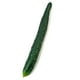 thumbnail image 2 of Artificial Cucumber Prop, Realistic Vegetable Texture, Decorative Prop for Photography, Home Decoration, High-Quality Plastic, Foldable Design, for Living Room, for Wedding Props, for Event, 2 of 8