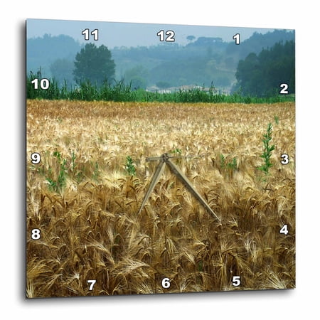 3drose, Italy, Tuscany, Wheatfield, 10x10 Wall Clock
