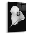 thumbnail image 2 of Epic Art 'Elegant Calla III' by Elise Catterall, Acrylic Glass Wall Art, 16"x24", 2 of 8