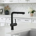 thumbnail image 4 of Blanco 526367 1.5 GPM Linus Pull Out Kitchen Faucets - Anthracite, 4 of 4