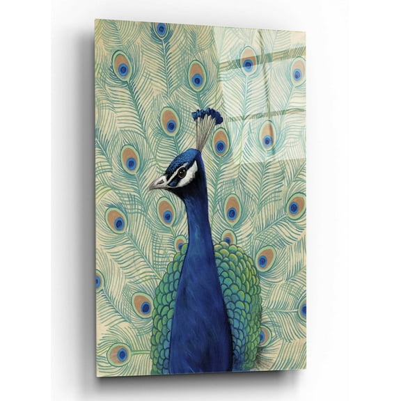 Epic Art 'Blue Peacock II' by Tim O'Toole, Acrylic Glass Wall Art, 16"x24"