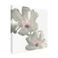 thumbnail image 4 of Trademark Fine Art 'Gray Blush Cosmos I on White' Canvas Art by Chris Paschke, 4 of 4