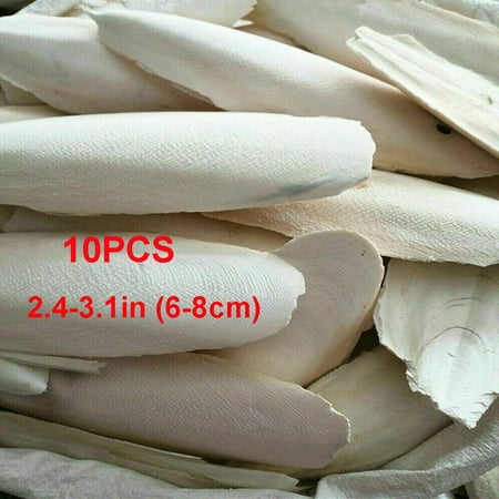 10/20Pcs 2.4-3.1" Cuttlebone Cuttlefish Bone Sepia Cuttle Fish Bird Food Calcium