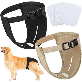 Female Dog Heat Pants