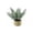 B, variant on Pnmtdaia Artificial Mini Pine Potted Plant with Red Berries Handwoven Rattan Basket Base Fake Evergreen Small Tabletop Greenery for Christmas Winter Holiday Home Shelf Window Decor