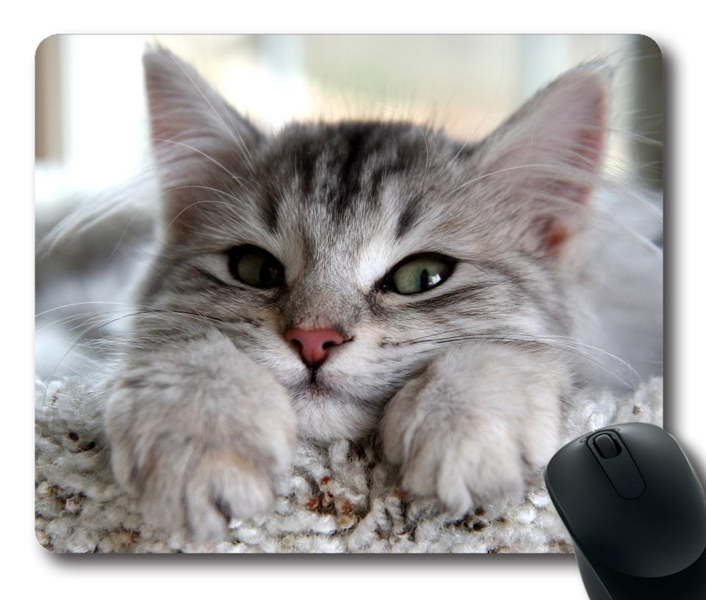 POPCreation Cute Cat Mouse pads Gaming Mouse Pad 9.84x7.87 inches