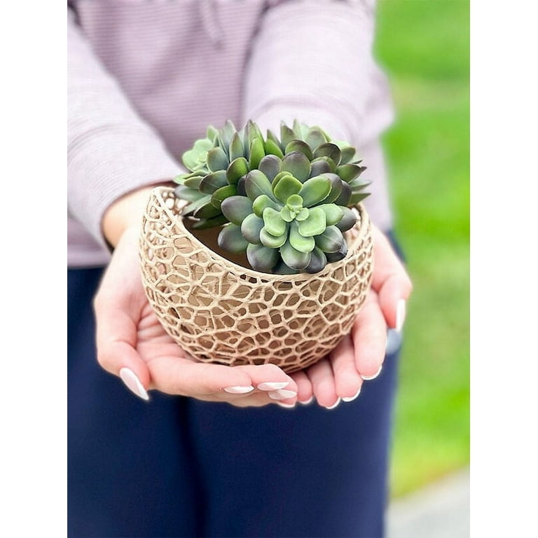 Small Voronoi Succulent Planter Vase  3D Printed PLA, White (Custom Colors  Available)