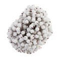 thumbnail image 4 of RENACLIPY 200Pcs Frosted Berry Holly Artificial Flower Decor White for Christmas Tree and Bouquet, 4 of 4