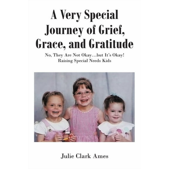 A Very Special Journey of Grief, Grace, and Gratitude: No, They Are Not Okay...but It's Okay! Raising Special Needs Kids, (Paperback)