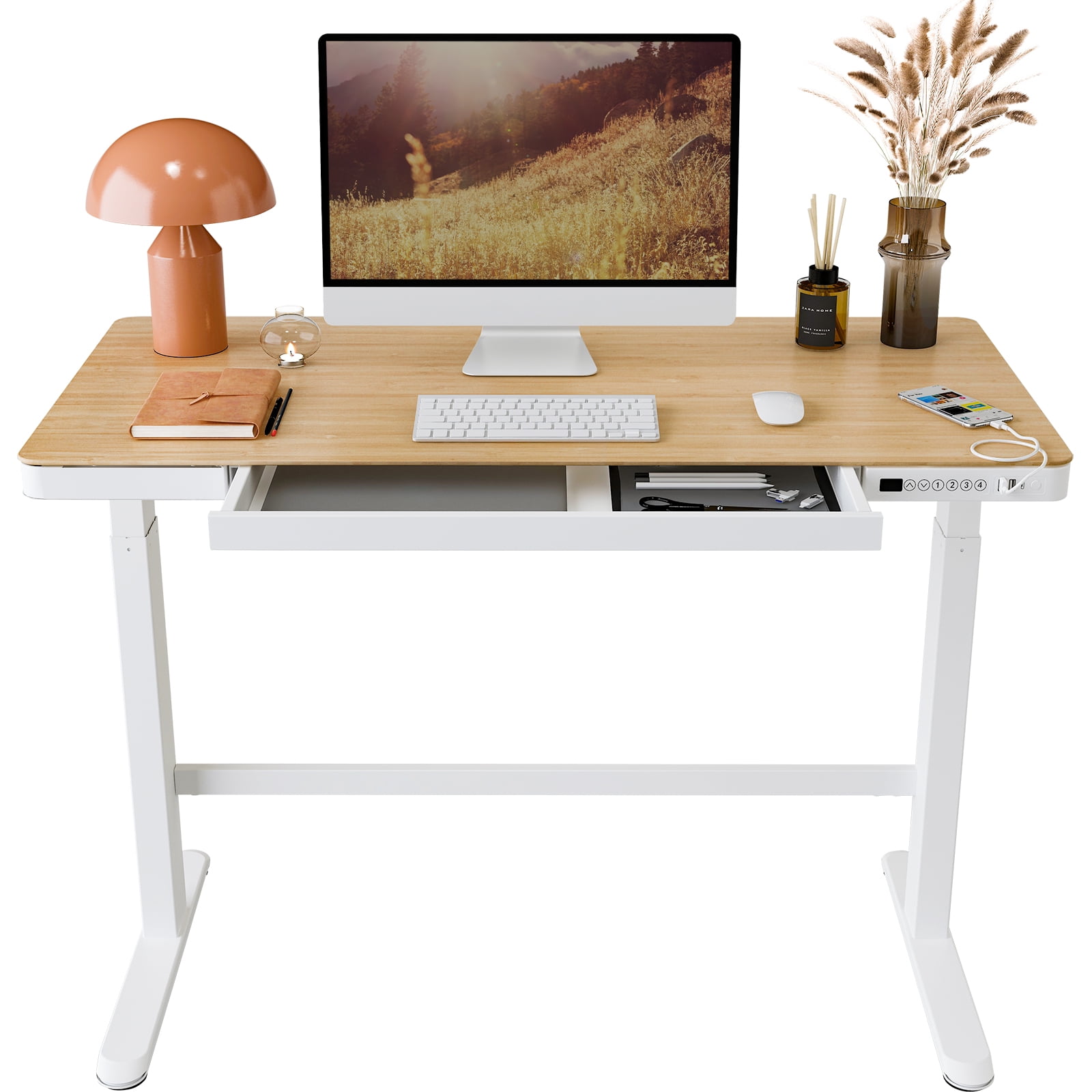Buy FlexiSpot 48x24 White Home Office Height Adjustable Standing Desk