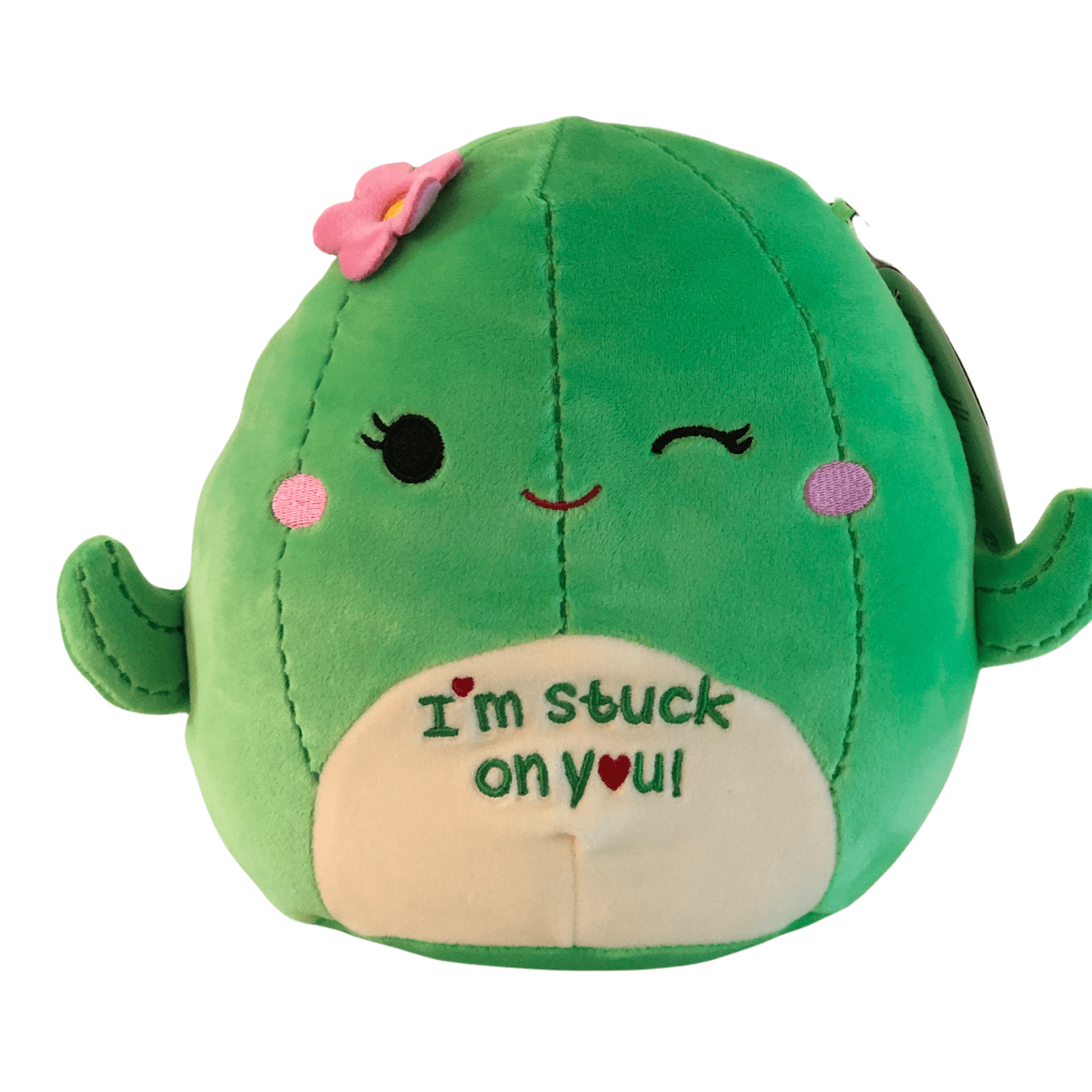 cactus squishmallow name