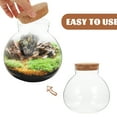 thumbnail image 2 of IFANLANDOR 2Set Globe Terrarium Jar Cork Modern Spherical Storage Unit, 2 of 8