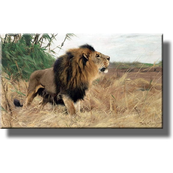 Barbary African Lion Picture by Kuhnert on Stretched Canvas, Wall Art Décor, Ready to Hang!