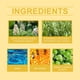 thumbnail image 4 of Bee Venom Vein Repair Cream 100G Relieves Leg Fatigue and Improves Venous Circulation, 4 of 5