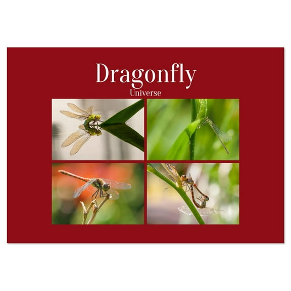 Dragonfly Universe (Monthly Wall Calendar 2026 11.7 x 16.5 (open)), CALVENDO 14 Month Calendar