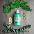 thumbnail image 2 of Anthony Invigorating Rush Hair and Body Wash, 12 Fl Oz, Contains Eucalyptus Extract, Canadian Balsam, Birch Leaf, 2-In-1 Formula For Hair and Body, That Cleanses, Refreshes, Hydrates and Soothes, 2 of 4