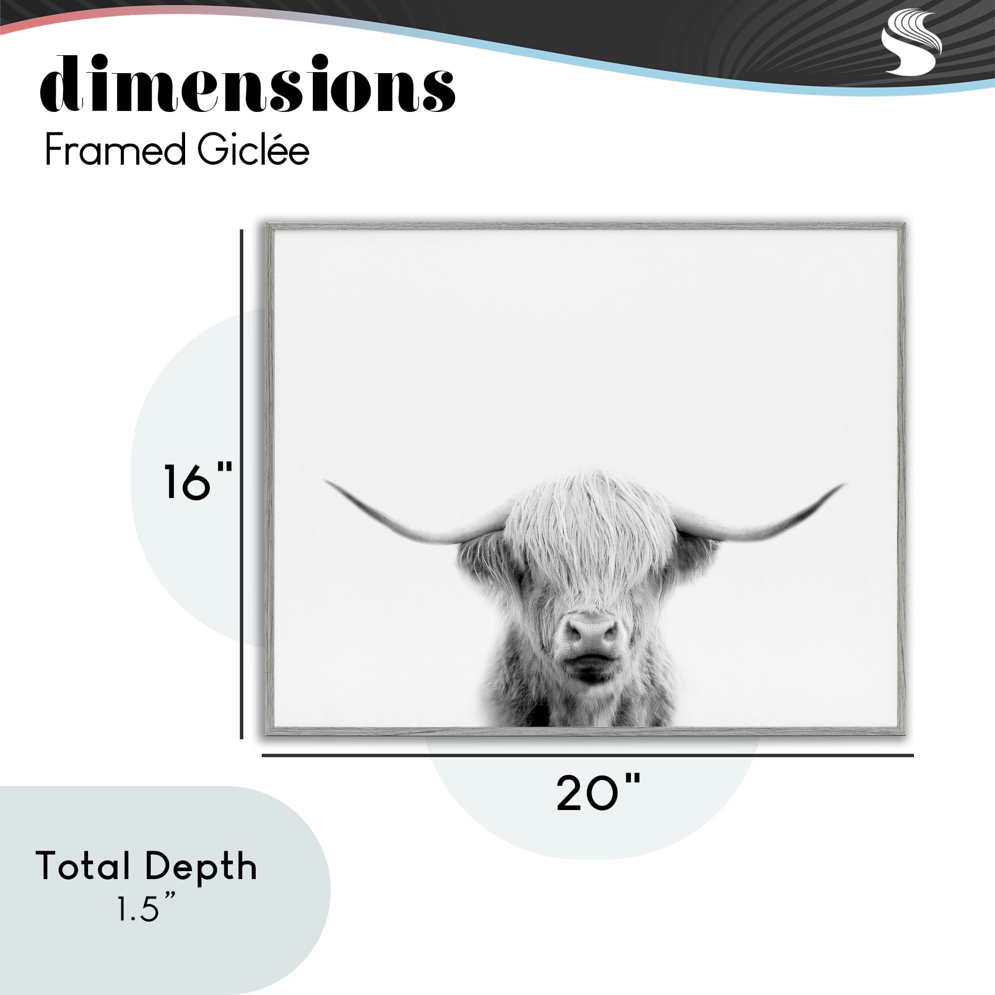 Stupell Industries Scottish Cow Portrait Gray Framed Giclee Art, design by Leah Straatsma