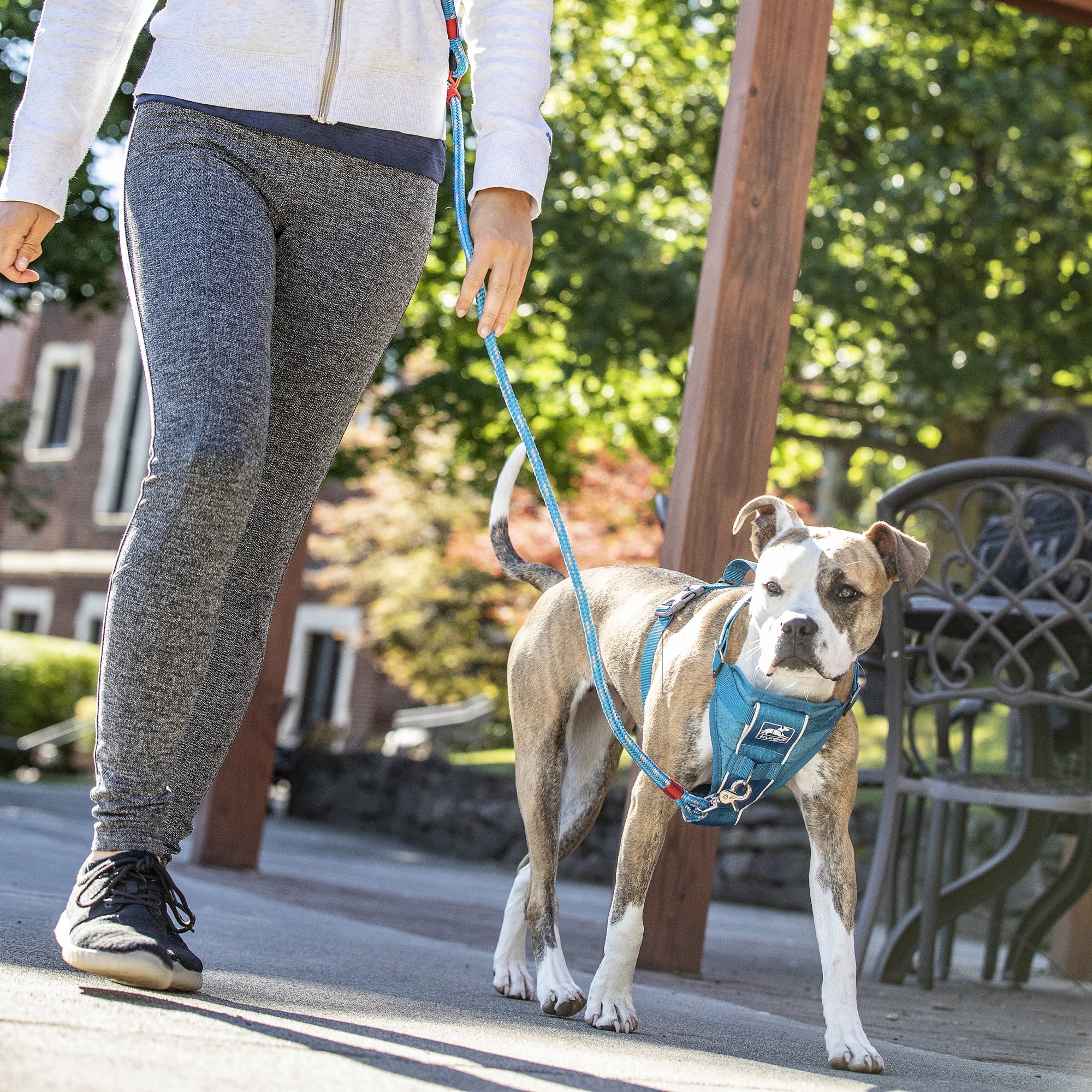 Kurgo Tru-Fit Smart Harness, Dog Harness, Pet Walking Harness, Quick Release Buckles, Front D-Ring for No Pull Training, Includes Dog Seat Belt Tether (Blue, X-Small)