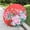 G, variant on Chinese Silk Cloth Umbrella Classical Style Decorative Umbrella Oil Paper Umbrel Windproof Rain Sun and UV Resistant Portable Folding Compact Travel Umbrella