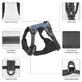 thumbnail image 6 of Naloa Silver Dragon Mountain Peaks Dog Harness, Pet Harness Vest with Traction Rope, Dog Vest for Outdoor, Walking - {sizeName}-Medium, 6 of 6