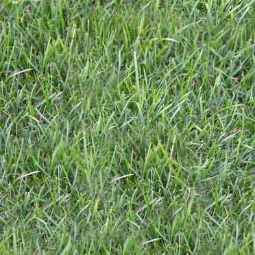 St Augustine 500 Sq Ft Sod Pallet Walmart Com
