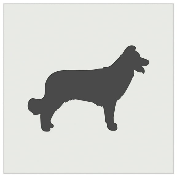 Border Collie Dog Solid DIY Cookie Wall Craft Stencil - 5.5 Inch