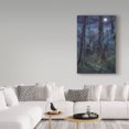 thumbnail image 3 of Trademark Fine Art 'Beauty and the Beast Moon' Canvas Art by Allen Jimmerson, 3 of 3