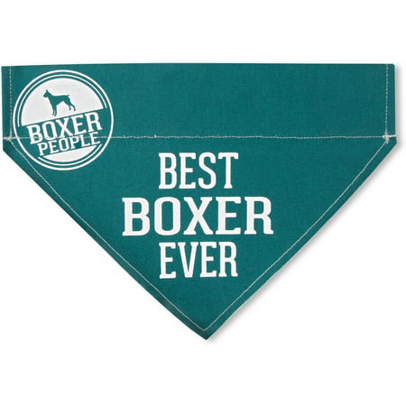 Pavilion - Best Boxer Ever - Teal Canvas Large Dog Bandana Collar - 12