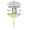 13th Birthday / Anniversary Novelty Burlap Cupcake Decoration Picks -12pack