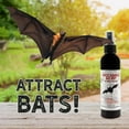 AllNatural BatNip’ Pheromone Spray; 4 Fluid Ounces Bat House