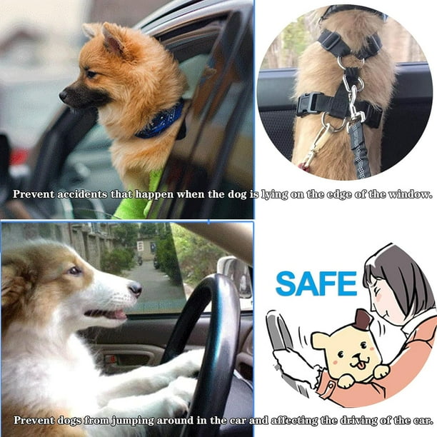 Dog Seat Belt for Car Multifunctional Dog Leash Adjustable Car Dog Lead Collar with Reflective Duty Strap and Anti shock Elastic Bungee for Small Medium and Large Dogs Pet Travel Accessories Walmart.c...