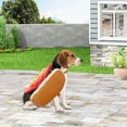 thumbnail image 6 of Funny Hot Dog Hamburger Pet Costume for Dogs & Cats - Cute Cosplay Outfit for Halloween, Parties, 6 of 9