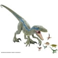 thumbnail image 4 of Jurassic World Blue Le Velociraptor Super Colossal, 4 of 6