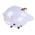thumbnail image 4 of deevoka 18cmx12cm Glass Piggy Bank Clear Money Box Kids Saving Pot for Souvenir Gift Brown, 4 of 9