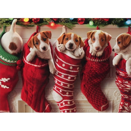 Funky Christmas Stocking Avanti Press Puppies Hanging In Christmas Stocking Box of 10 Funny / Humorous Dog Christmas Cards ()