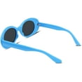 thumbnail image 3 of FEISEDY Clout Goggles Sunglasses Women Men Retro Oval Sunglasses B2253, 3 of 5
