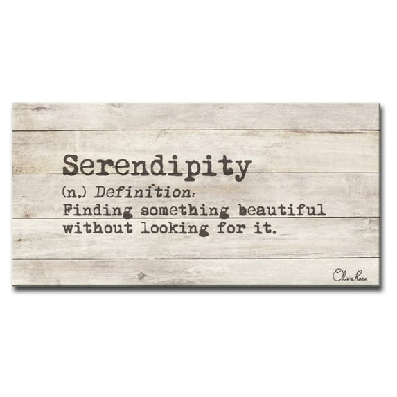 Ready2HangArt Olivia Rose 'Define Serendipity' Inspirational Canvas Wall Art 48" W x 24" H