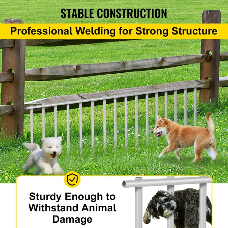 Small dog hotsell underground fence
