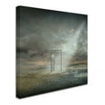 thumbnail image 2 of Trademark Fine Art 'Behind The Reality' Canvas Art by Franziskus Pfleghart, 2 of 3