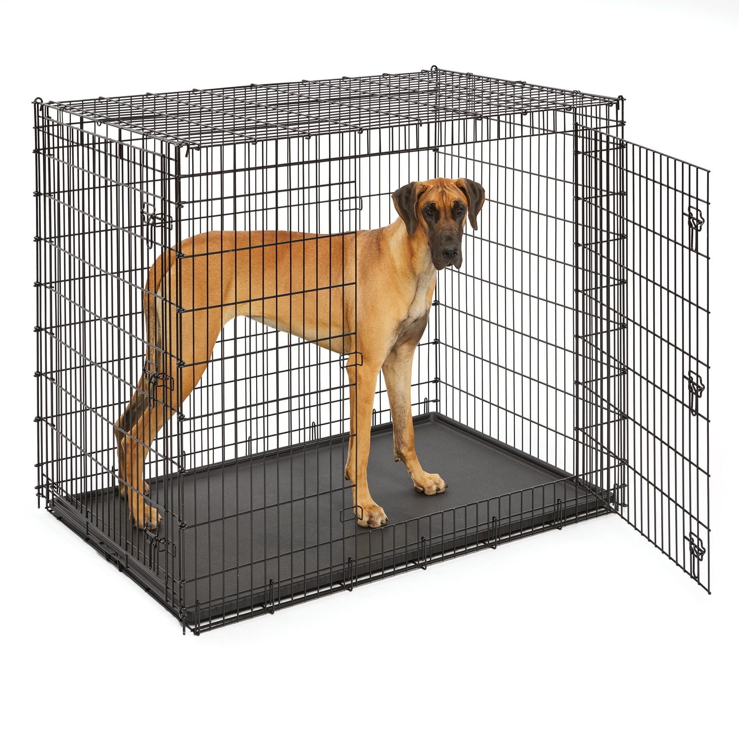 MIDWEST Solutions  cage pour chien double portes tt-grande 54po