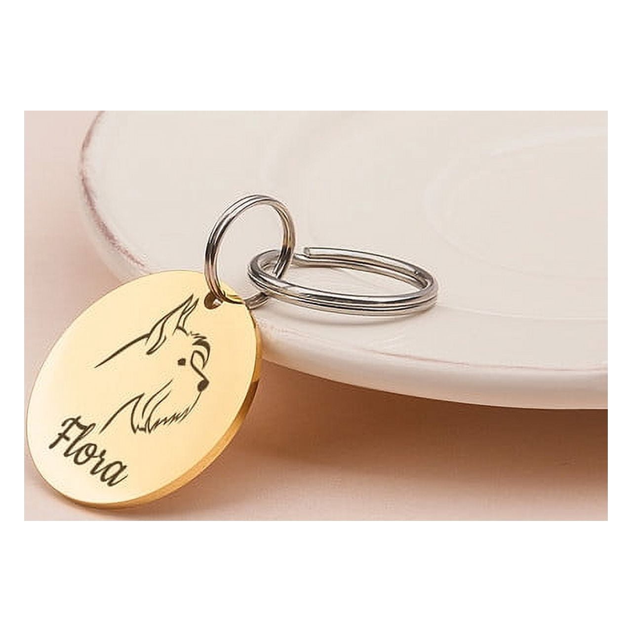 Anavia Stainless Steel Double Sided Round Name and Dog Portrait Engraved Dog & Cat ID Tag, Multi-color, L