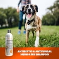 thumbnail image 3 of MANA Ohana Vets Choice Antiseptic and Antifungal Medicated Shampoo for Dogs & Cats | Dog and Cat Shampoo, Cruelty-Free - 500ml, 3 of 5