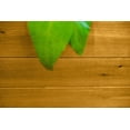 thumbnail image 3 of Jardinniere "Mezza Keyhole", 3 of 4