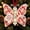 Pink, variant on Christmas Cash Gift Butterfly Ornament,Money Holder Fillable Bulk Keepsake Envelopes Decor for Giving Tree Family Friends with Built‑In Clear Compartment As A Festive Hanging That Hold Money,(Pink)