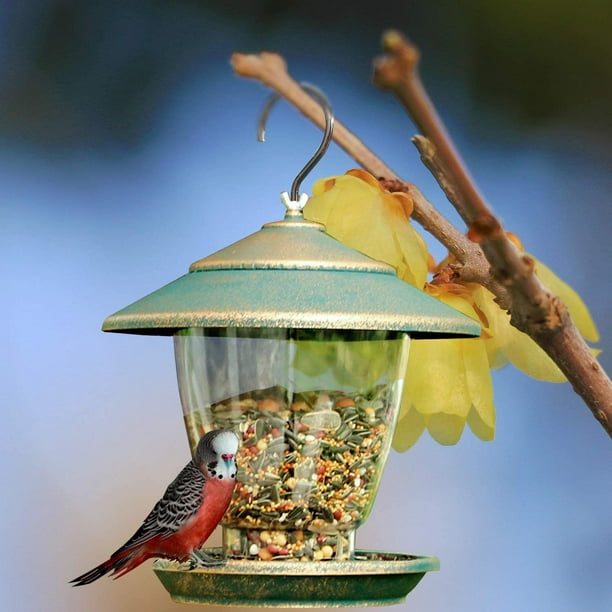 Mangeoires à oiseaux, mangeoire à graines pour oiseaux tous temps, mangeoire  à oiseaux sauvages suspendue pour