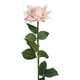 thumbnail image 1 of Flores para la Decoración Adhesión Excesiva de la Simulación de la Flor de la Rosa Húmeda Fabricante, Decoración Del Hogar, Flor de la Piedra de la Boda, Flor Falsa de la Pared, 1 of 8